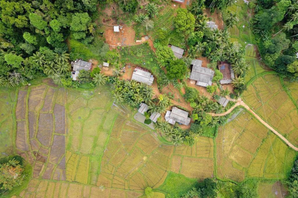 Rainforest Nest Deniyaya Zewnętrze zdjęcie
