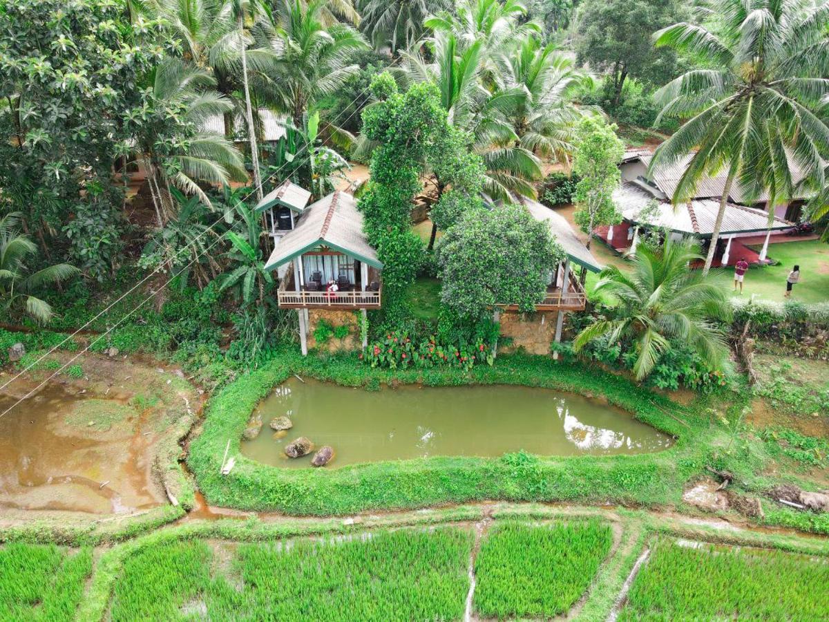 Rainforest Nest Deniyaya Zewnętrze zdjęcie