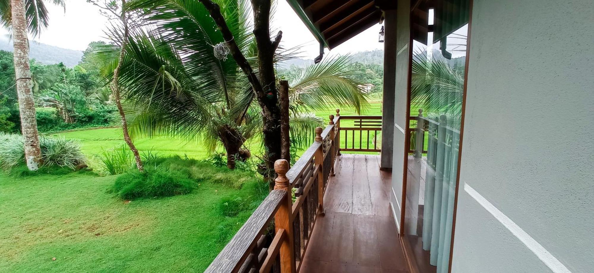 Rainforest Nest Deniyaya Zewnętrze zdjęcie